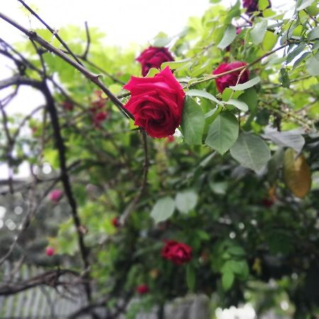 Villamelchiorre 1 Милано Екстериор снимка